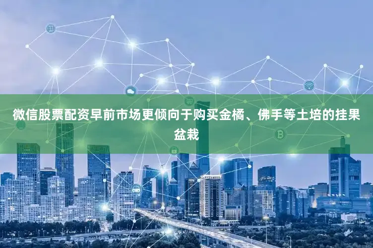 微信股票配资早前市场更倾向于购买金橘、佛手等土培的挂果盆栽