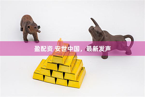 盈配资 安世中国，最新发声